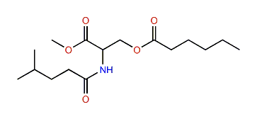 N-4-Methylvaleroyl-O-hexanoyl-L-serine methyl ester